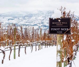 Experience our winter wine tour to Mission Hill Family Estate Winery.