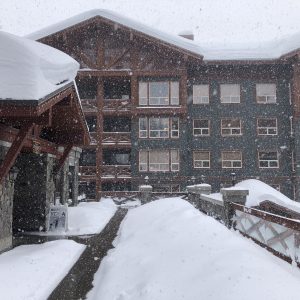 Snowing heavily outside Stonebridge Lodge